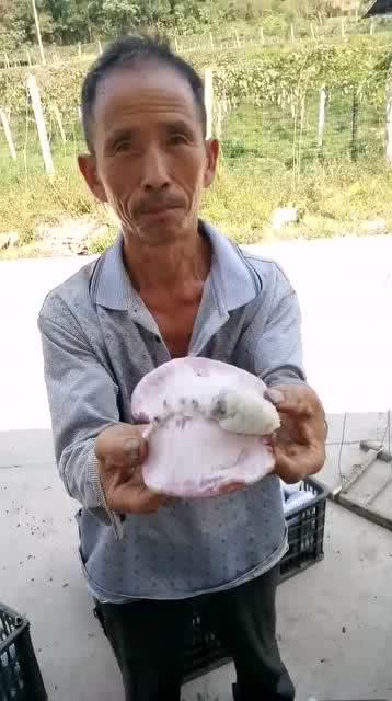 冷叔吃瓜,揭秘娱乐圈那些不为人知的幕后故事