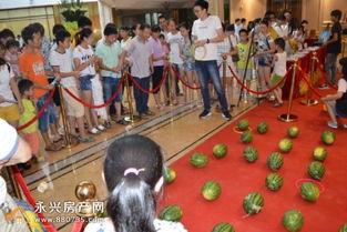 群众吃瓜热闹视频,吃瓜群众的热闹视频盛宴