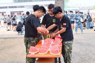 塔城吃瓜群众事件,网络舆论的狂欢与反思