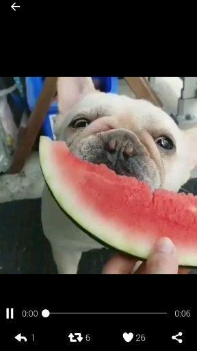 楼上聊天吃瓜,揭秘楼上邻居的神秘生活