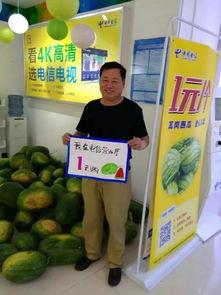 平舆吃瓜群众,揭秘当地生活百态