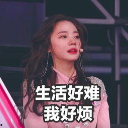 深夜吃瓜姬,揭秘娱乐圈那些不为人知的幕后故事