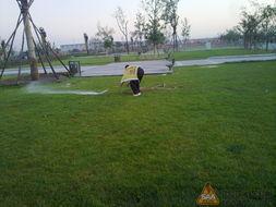 濮阳林海公园吃瓜