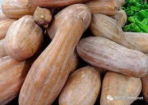 爬方瓜怎么吃,爬方瓜的多样食法探索