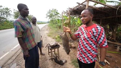暴殄天物 吃瓜,吃瓜群众如何看？