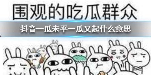 抖音在哪吃瓜,揭秘各大网红美食打卡地，一起吃瓜尝鲜！