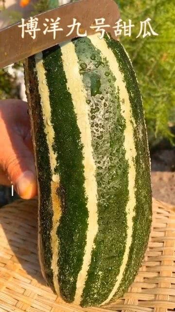 没认真吃瓜解说,一场没认真吃瓜的解说闹剧