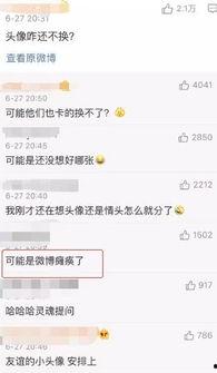 随机吃瓜后续,揭秘娱乐圈背后的秘密与真相