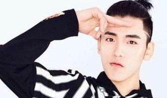 网友吃瓜王子异,揭秘娱乐圈背后的故事