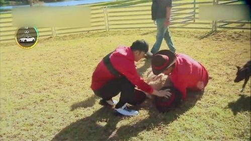 吃瓜掉水里被踩,一场意外的“瓜田”悲剧