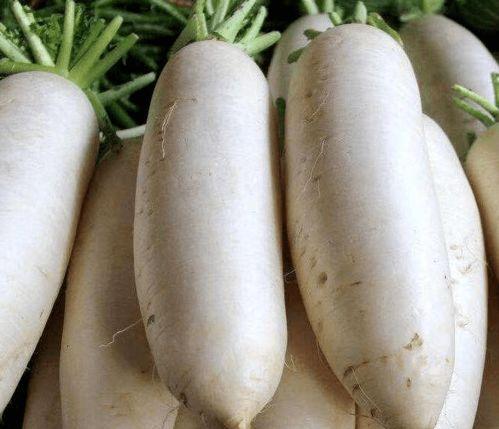 吃瓜大白44集,揭秘神秘事件背后的真相