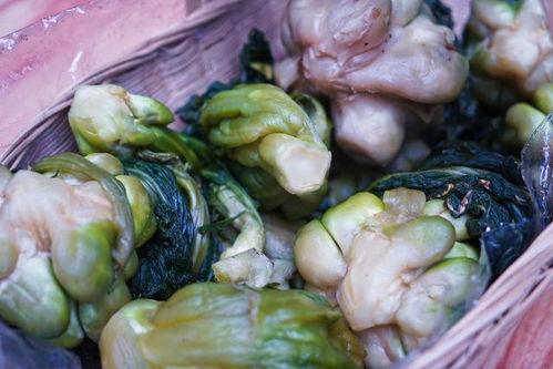 重庆巫山吃瓜视频,一场别开生面的重庆美食之旅