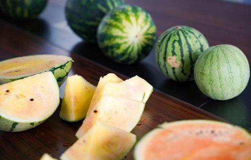 郑州孟子像吃瓜,文化地标新风尚