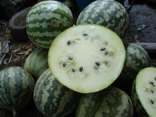 绿宝瓜怎么做着吃